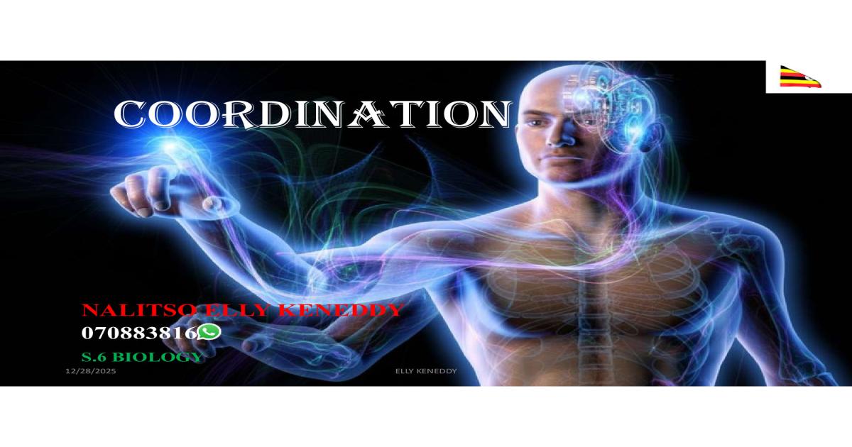 A-Level Coordination Notes