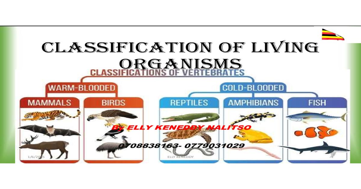 Classification Notes by Elly Keny - Uganda Curriculum