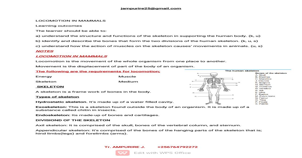 S4 Biology Notes: Locomotion in Mammals (UNEB/CBC)