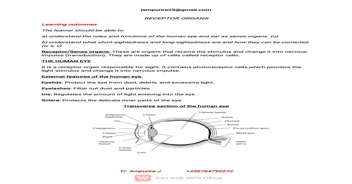 Receptor Organs Notes CBC