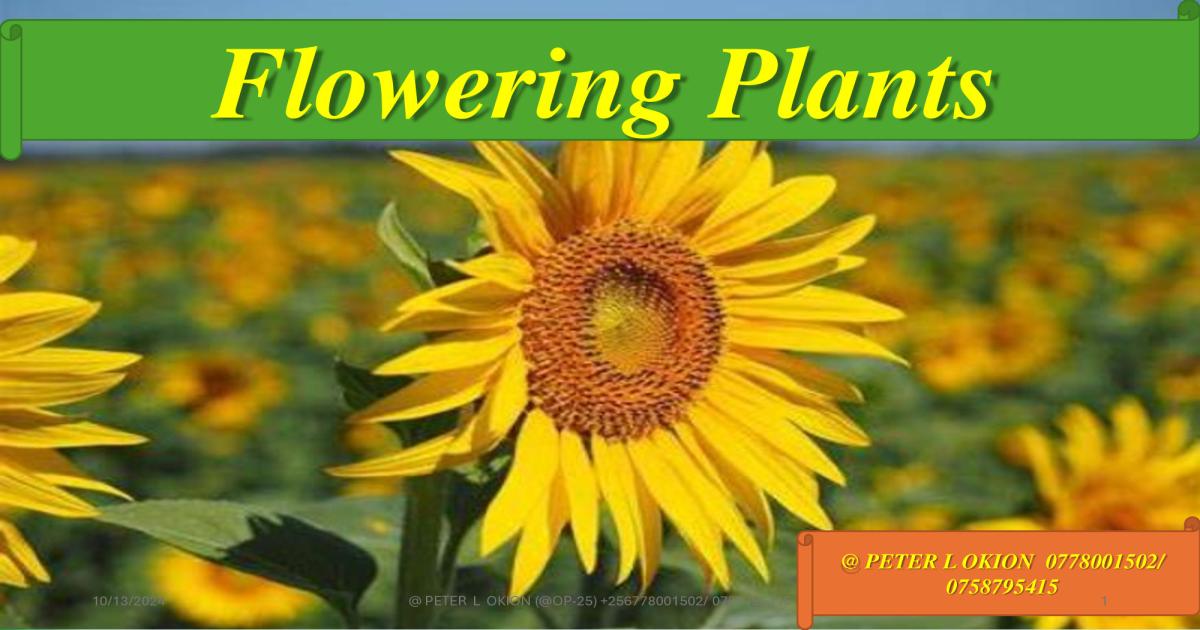 S.1 Flowering Plants Notes CBC by TR Okion