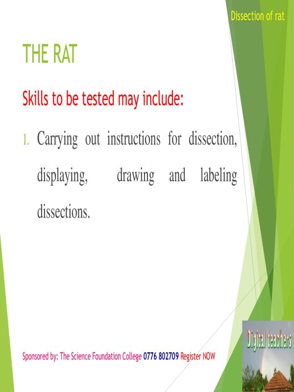 Rat Dissection Guide for Biology Students
