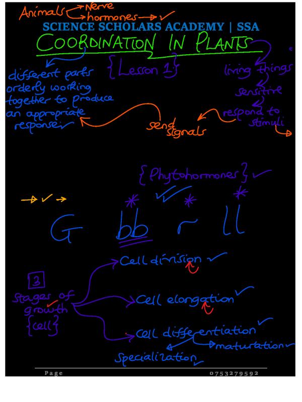Coordination in Plants Concept Notes - Uganda Curriculum