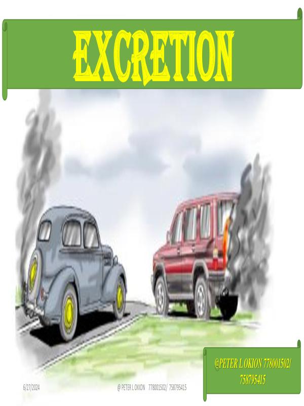 EXCRETION-SENIOR THREE BIOLOGY
