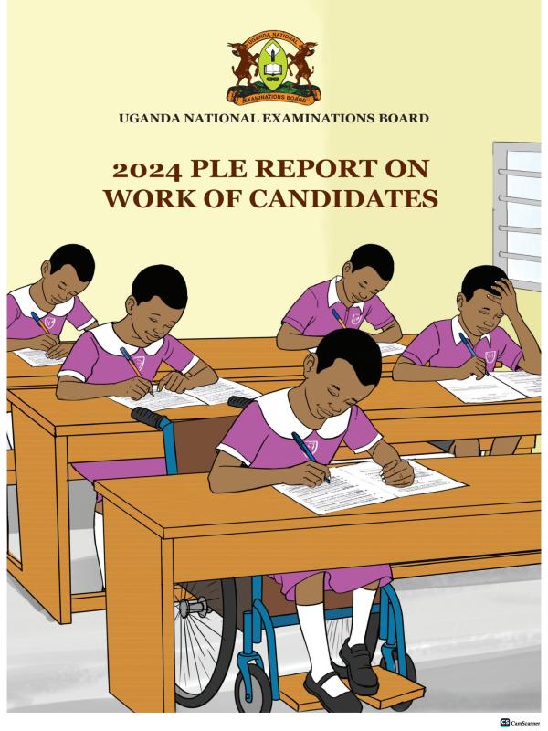 2024 PLE UNEB Report on the Work of Candidates