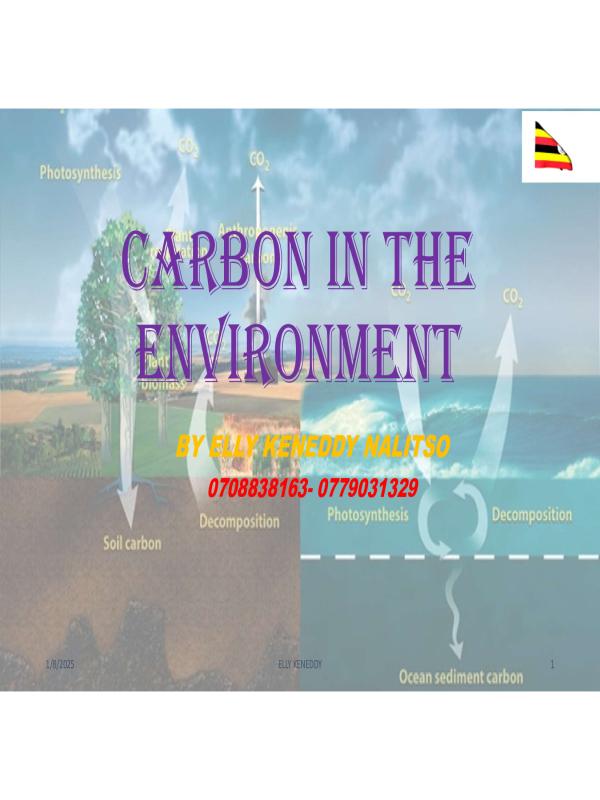 S.2 Chemistry Notes: Carbon in the Environment (CBC)