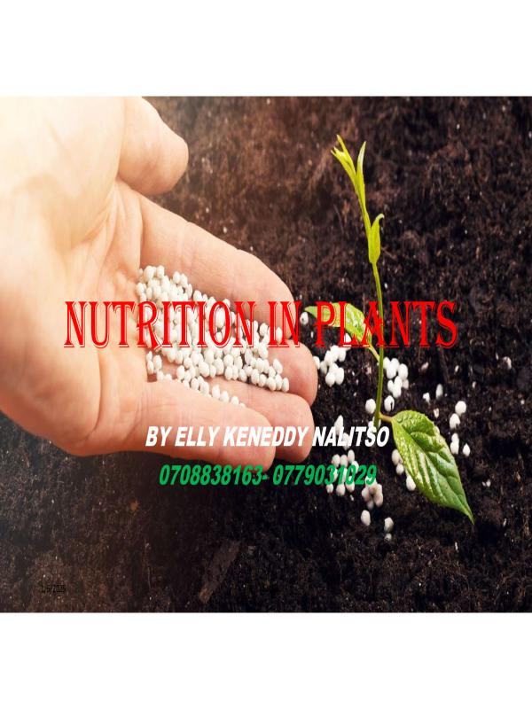 S.2 Biology Notes: Nutrition in Plants (CBC Aligned)