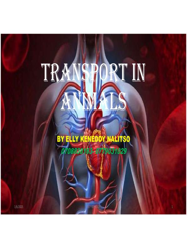 S.2 Biology Notes: Transport in Animals (CBC) - Uganda Curriculum
