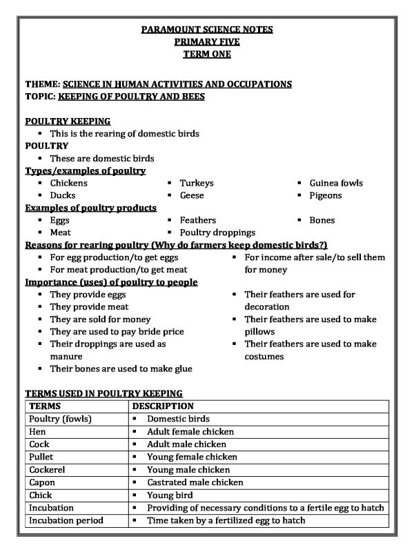Primary Five Science Lesson Notes - Paramount Uganda